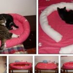 Как сделать для котенка кроватку из коробки